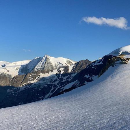 Hotel Grand-Combin Fionnay Zewnętrze zdjęcie