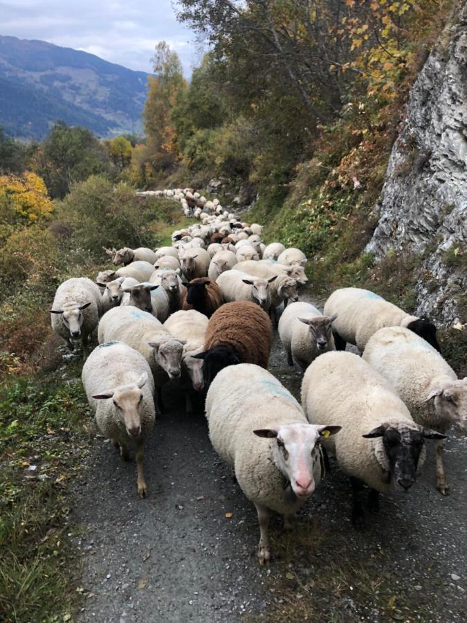 Hotel Grand-Combin Fionnay Zewnętrze zdjęcie